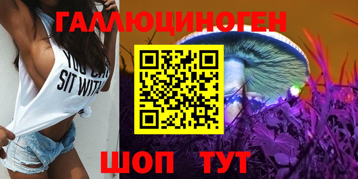 Галлюциногенные грибы мицелий  Вход с VPN  Кунгур 