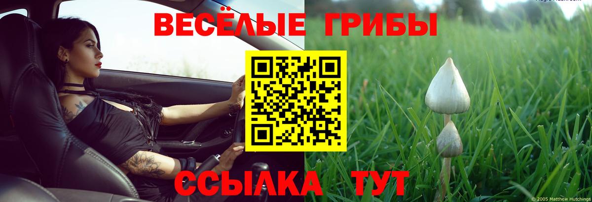 Псилоцибиновые грибы GOLDEN TEACHER Кунгур